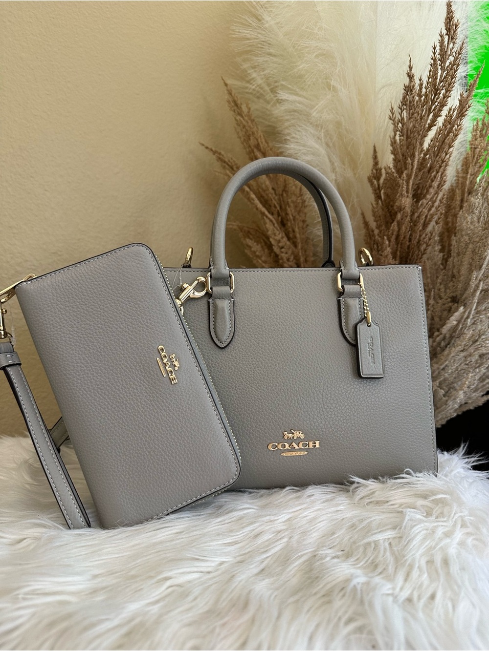 Coach Maggie Small Tote Bag and wallet set